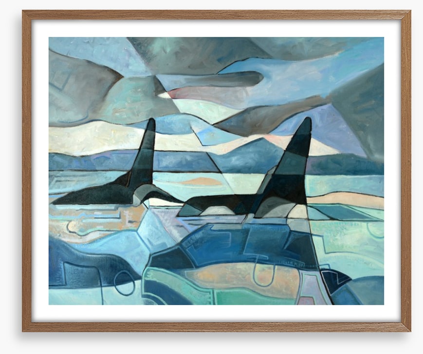 Orcas swimming
