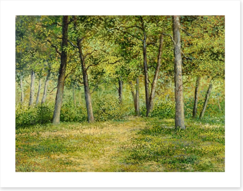 Forest fringe