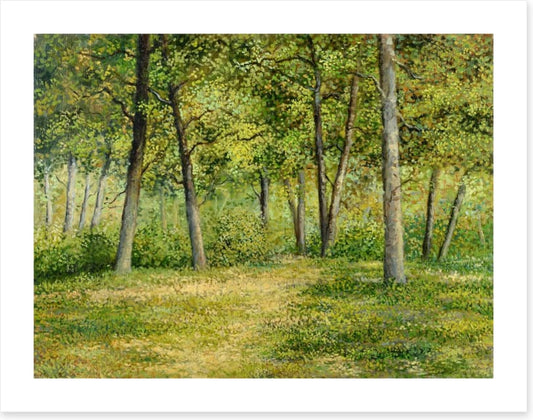 Forest fringe