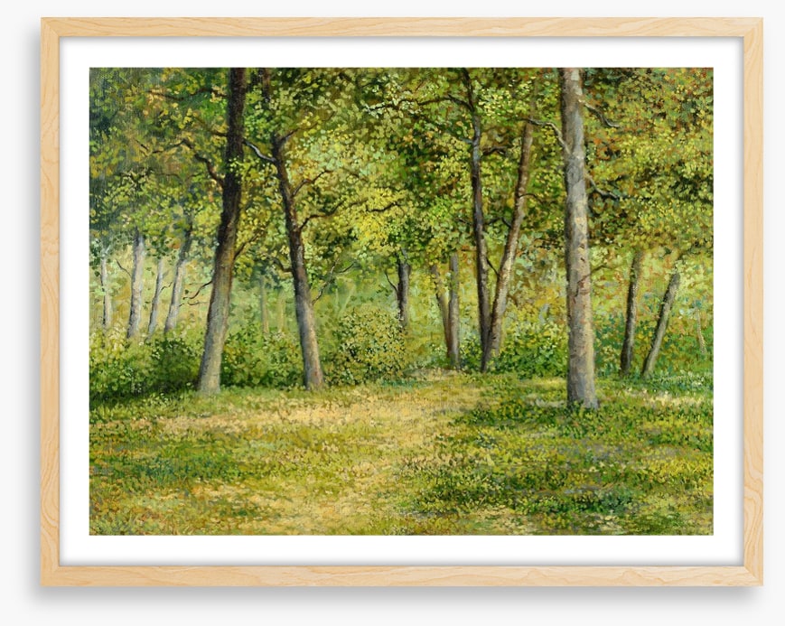 Forest fringe