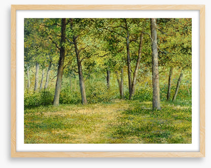 Forest fringe