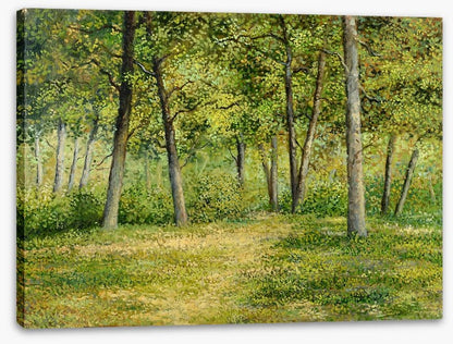 Forest fringe