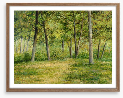Forest fringe