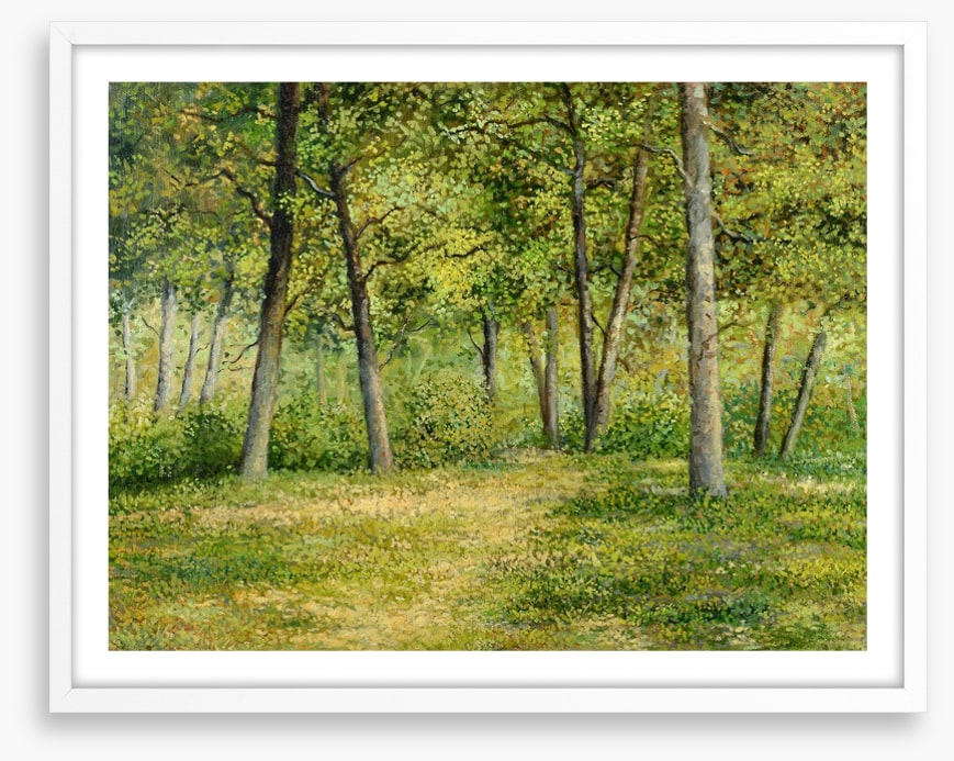 Forest fringe