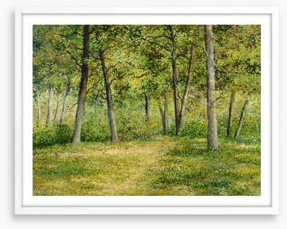 Forest fringe
