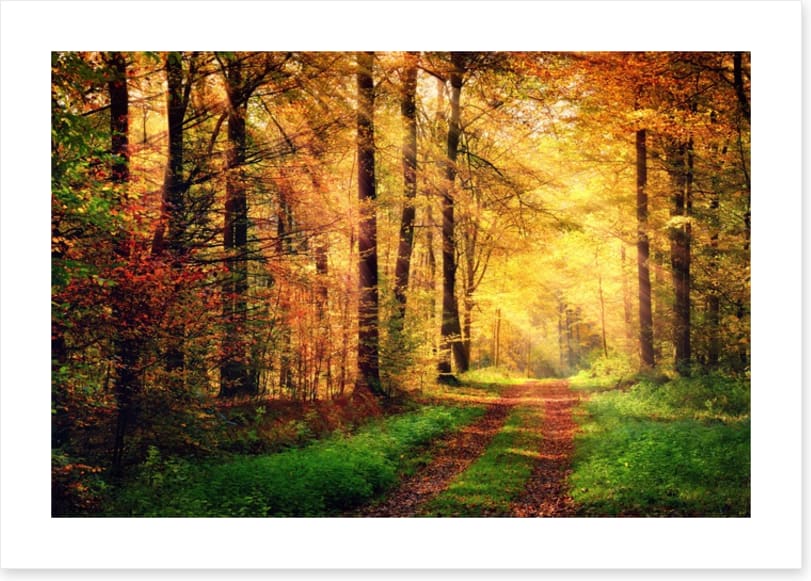 Where autumn takes you