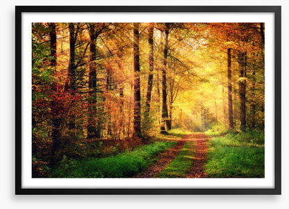 Where autumn takes you