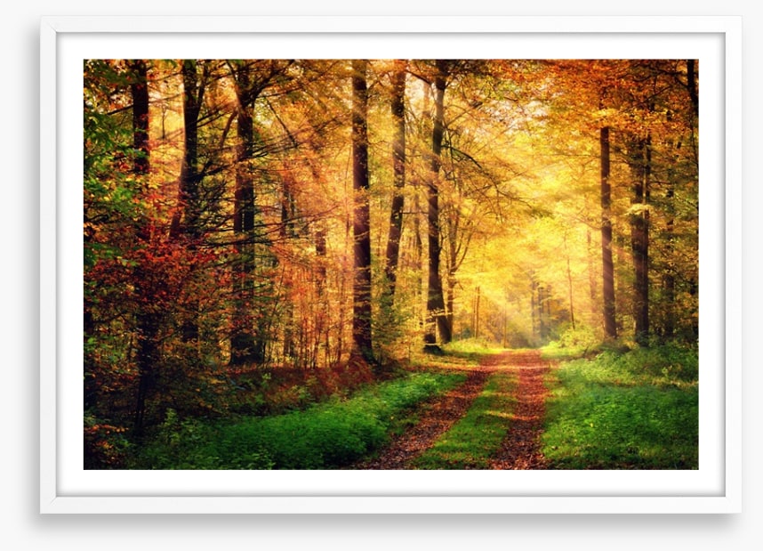 Where autumn takes you