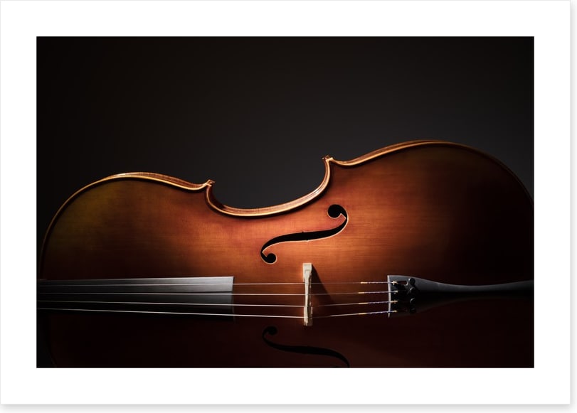 Cello silhouette