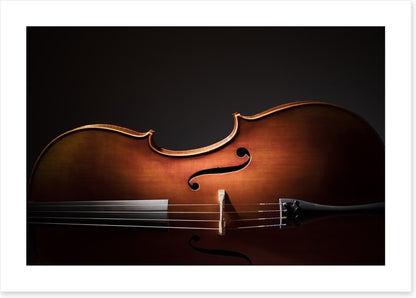 Cello silhouette