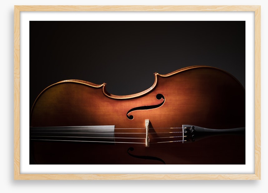Cello silhouette