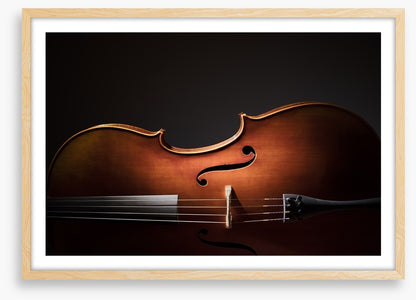 Cello silhouette