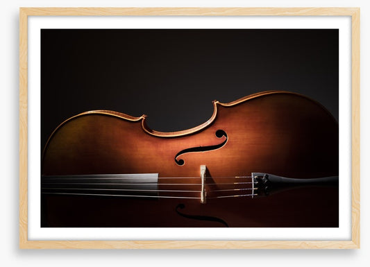 Cello silhouette