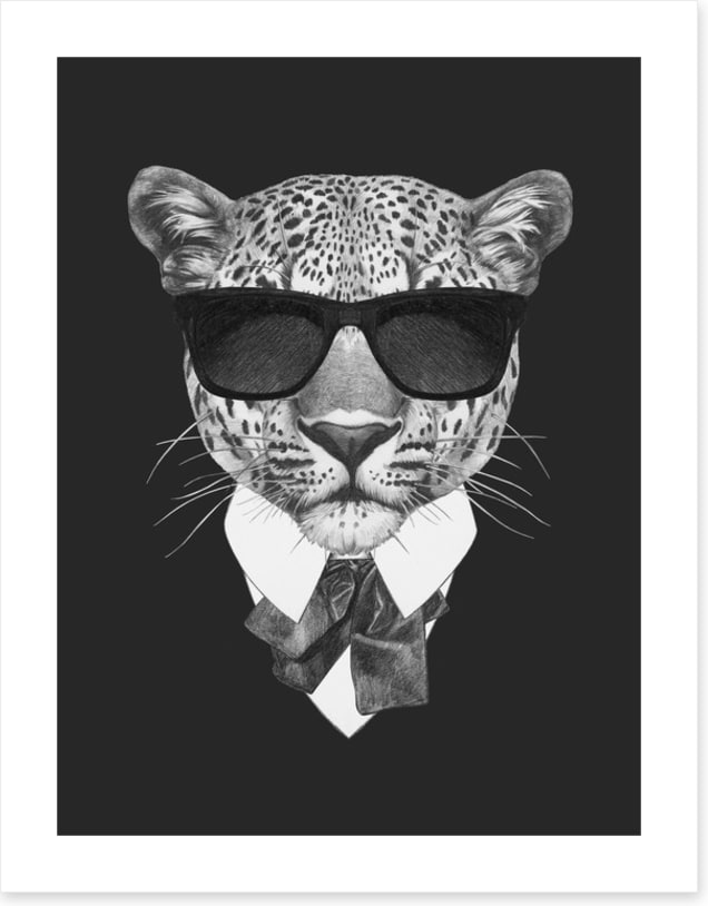 Suave leopard