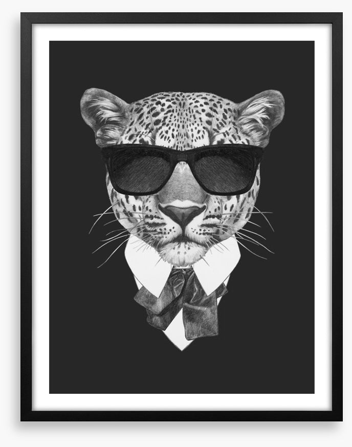 Suave leopard