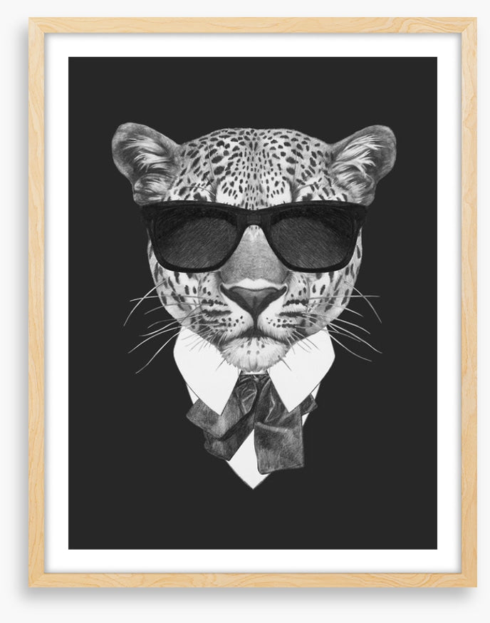 Suave leopard