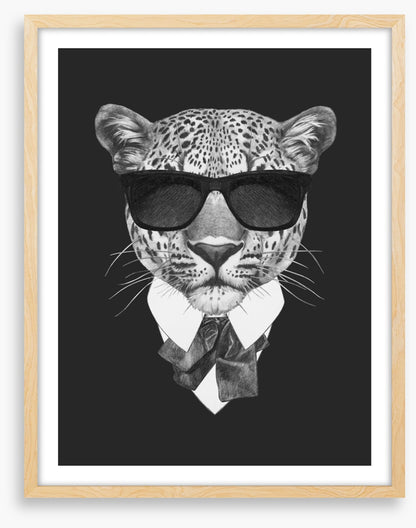 Suave leopard