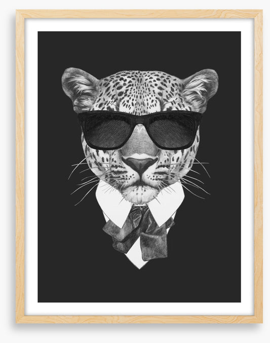 Suave leopard
