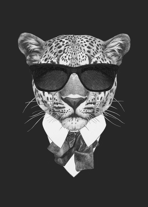 Suave leopard