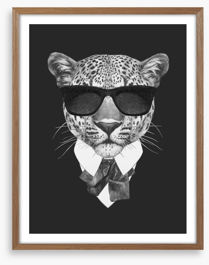 Suave leopard
