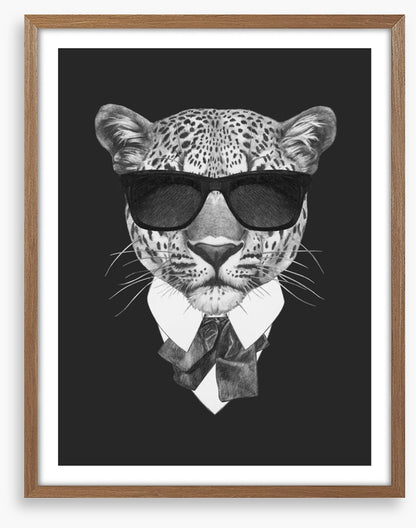 Suave leopard