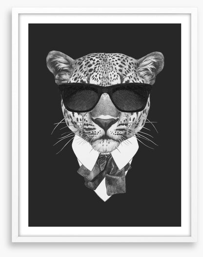 Suave leopard