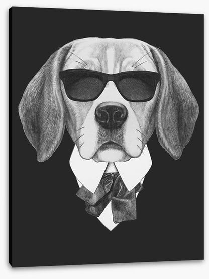 Suave beagle