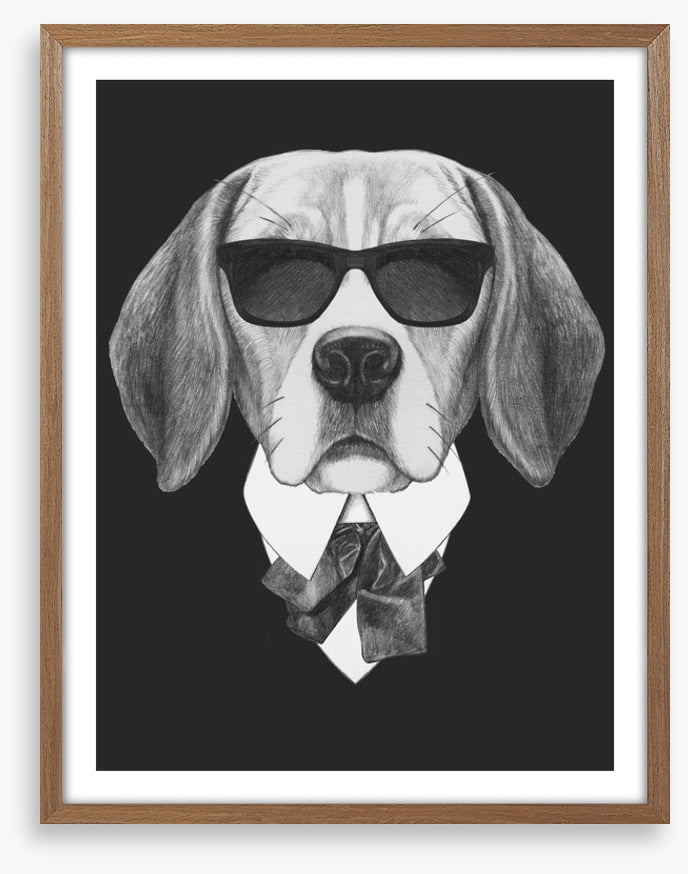 Suave beagle