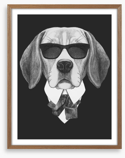 Suave beagle