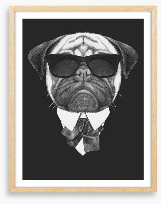 Suave pug