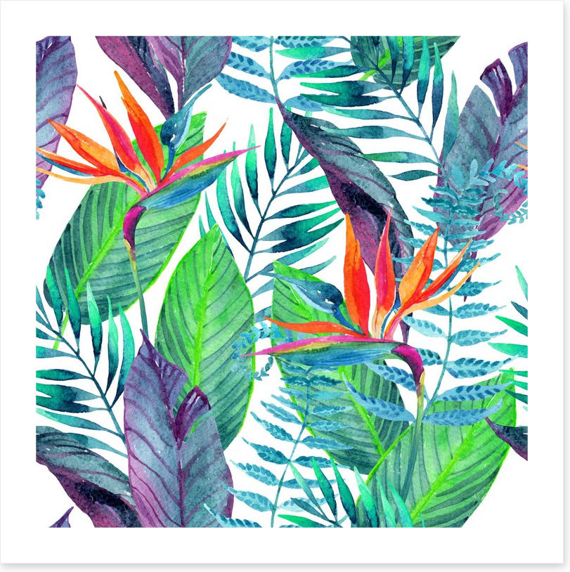 Paradise leaves
