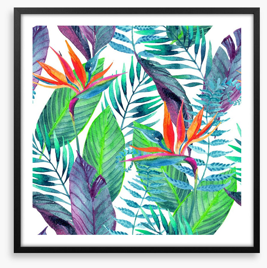 Paradise leaves