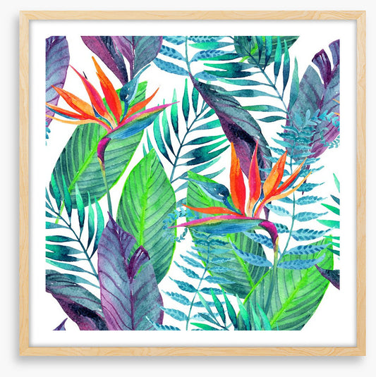 Paradise leaves