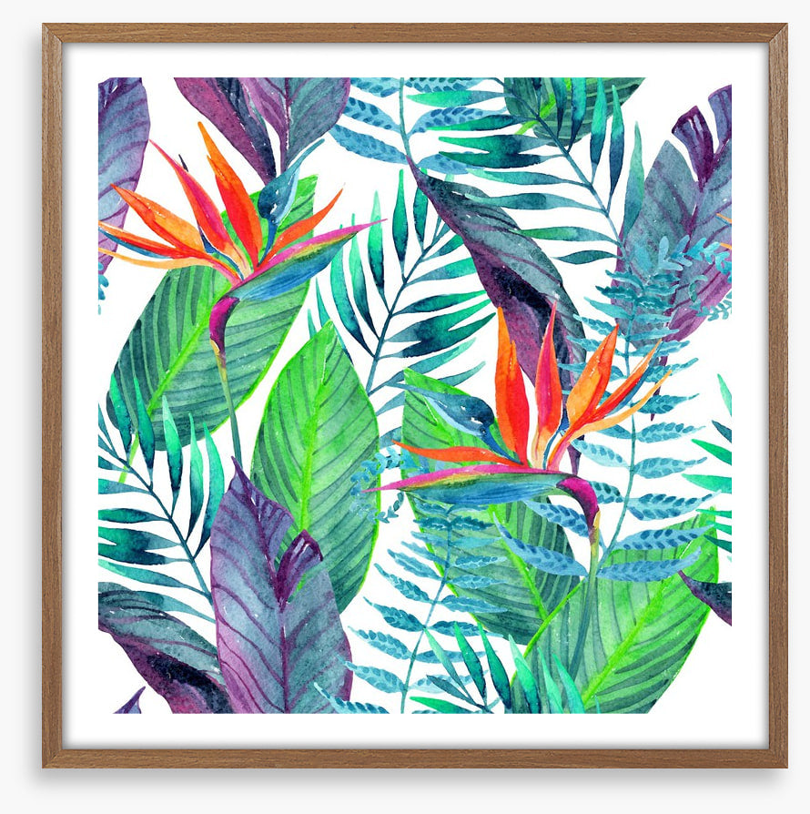 Paradise leaves