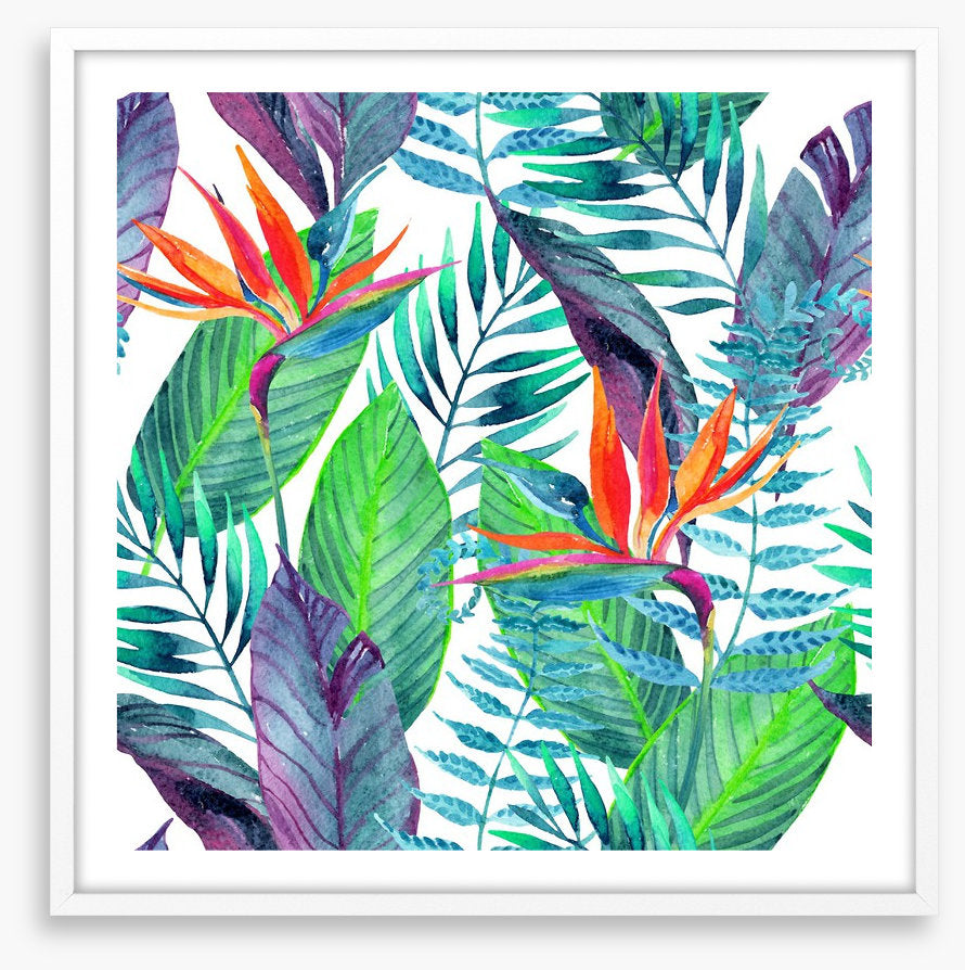 Paradise leaves