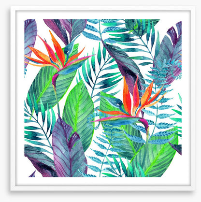 Paradise leaves