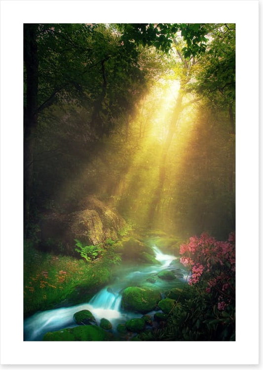 Magical morning stream