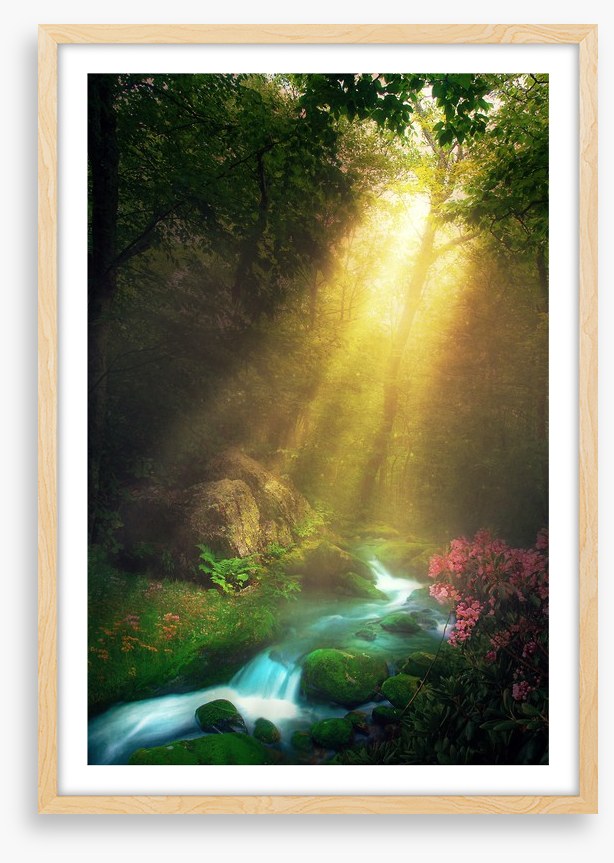 Magical morning stream