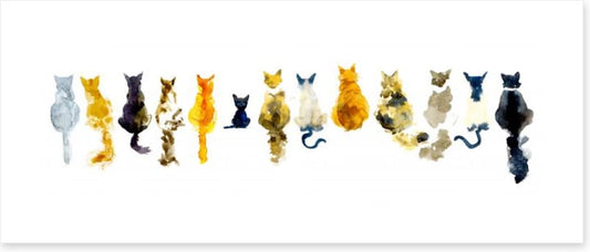 Odd cat out