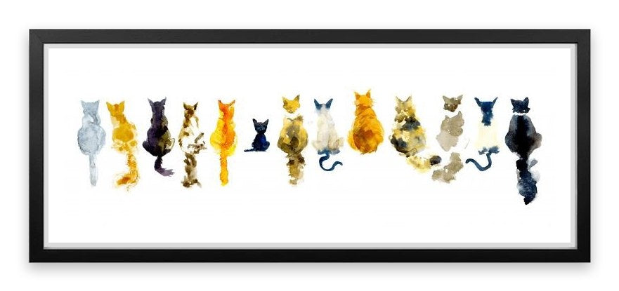 Odd cat out