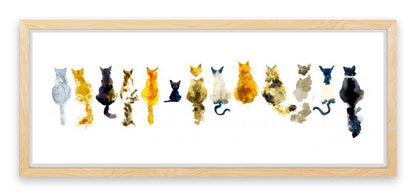 Odd cat out