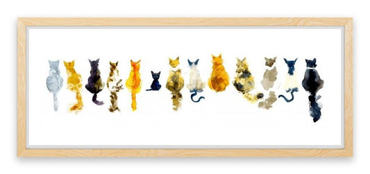 Odd cat out