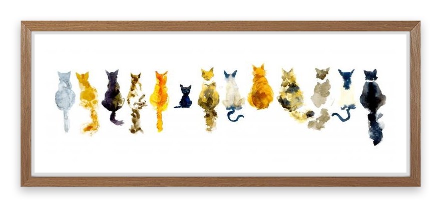 Odd cat out