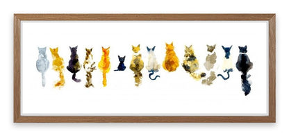 Odd cat out
