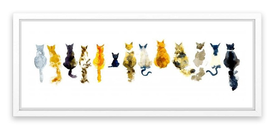 Odd cat out