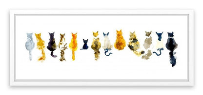 Odd cat out