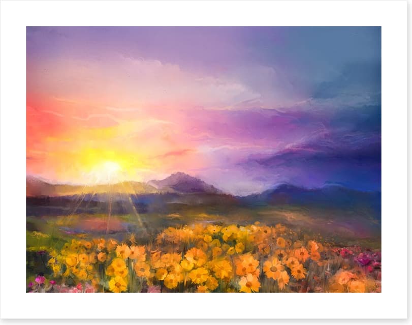 Golden daisy sunset