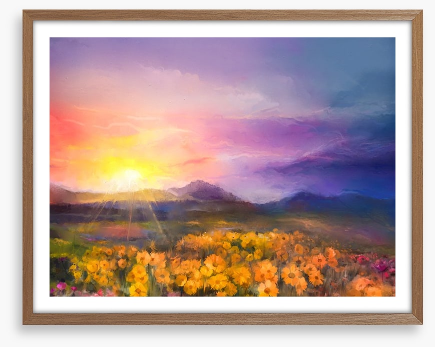 Golden daisy sunset