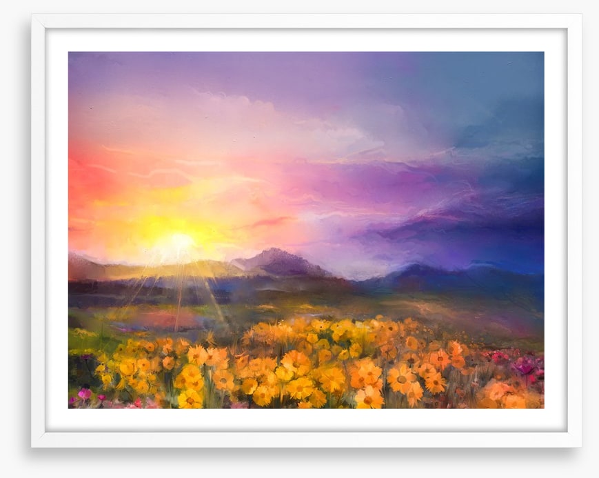Golden daisy sunset