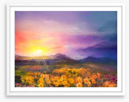 Golden daisy sunset